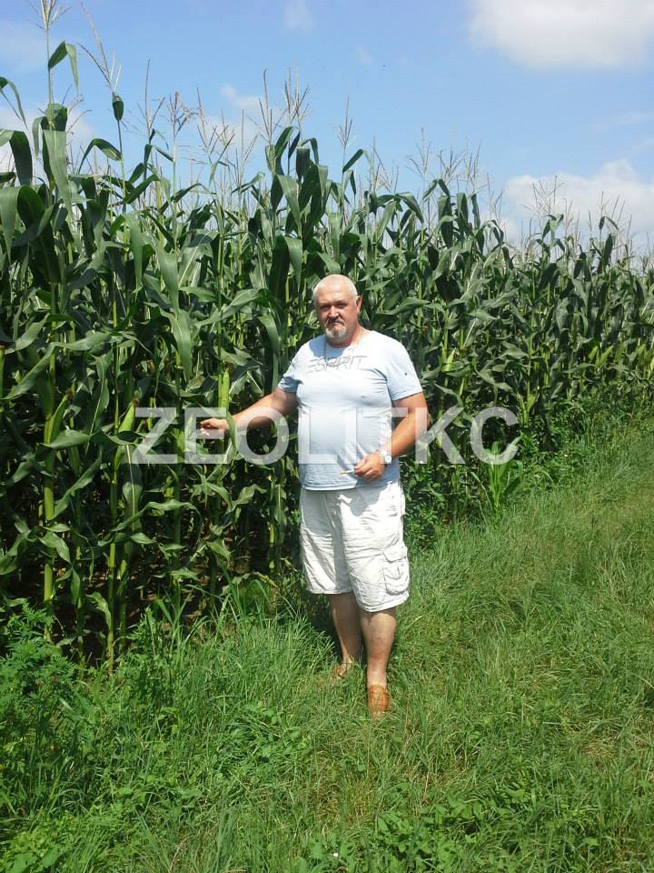 zeolit agt lauš