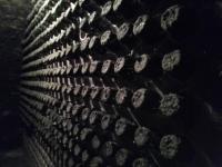 Na&scaron;a gra&scaron;evina i villanyski cabernet franc ča&scaron;u uz ča&scaron;u s EU projektom