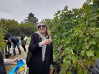 Čarobni Cabernet souvignon na poku&scaron;ali&scaron;tu FAZOS-a na Mandićevcu