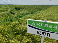 Dani polja ječma u Novoj Gradi&scaron;ki - gorak okus ne u pivu već kod proizvođača