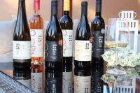 Zlato za Kopjara